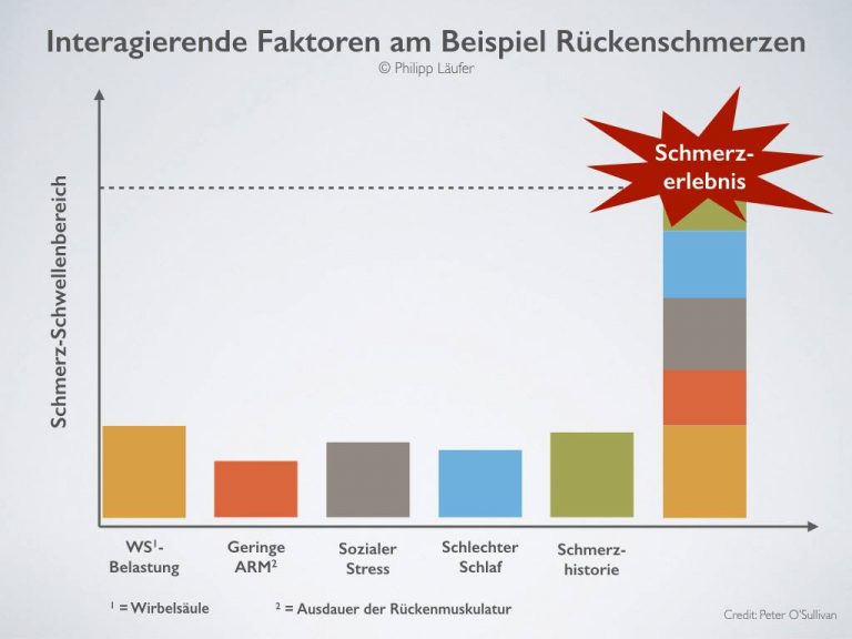 Interagierende Faktoren am Beispiel Rückenschmerz