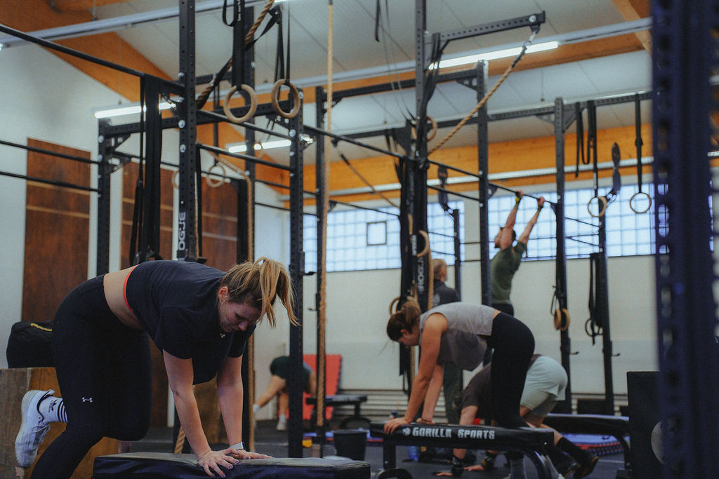 luparo-box-mitglieder68